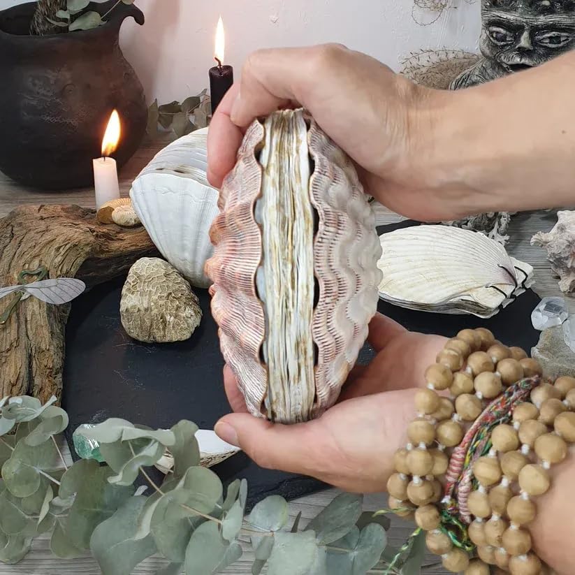 🌊🐚Unique handcrafted shell notebook