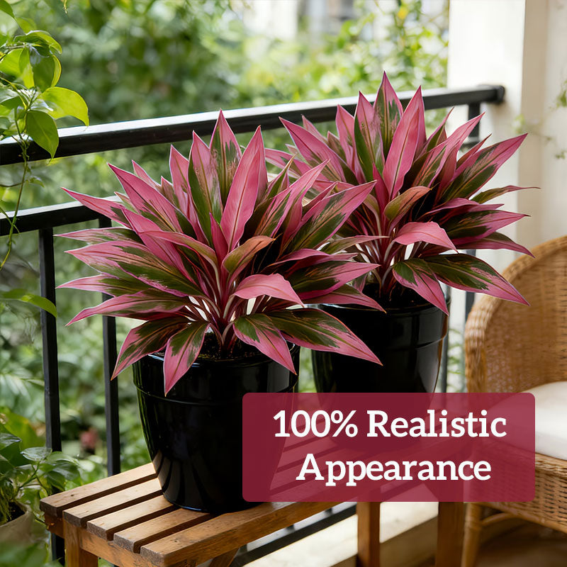 🔥HOT SALE!  - 🏡🌿Artificial Red Cordyline Ti Plant – No-Fuss Year-Round Vibrant Foliage!