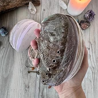🌊🐚Unique handcrafted shell notebook