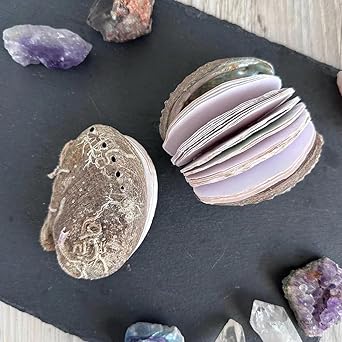 🌊🐚Unique handcrafted shell notebook