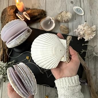 🌊🐚Unique handcrafted shell notebook