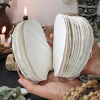 🌊🐚Unique handcrafted shell notebook