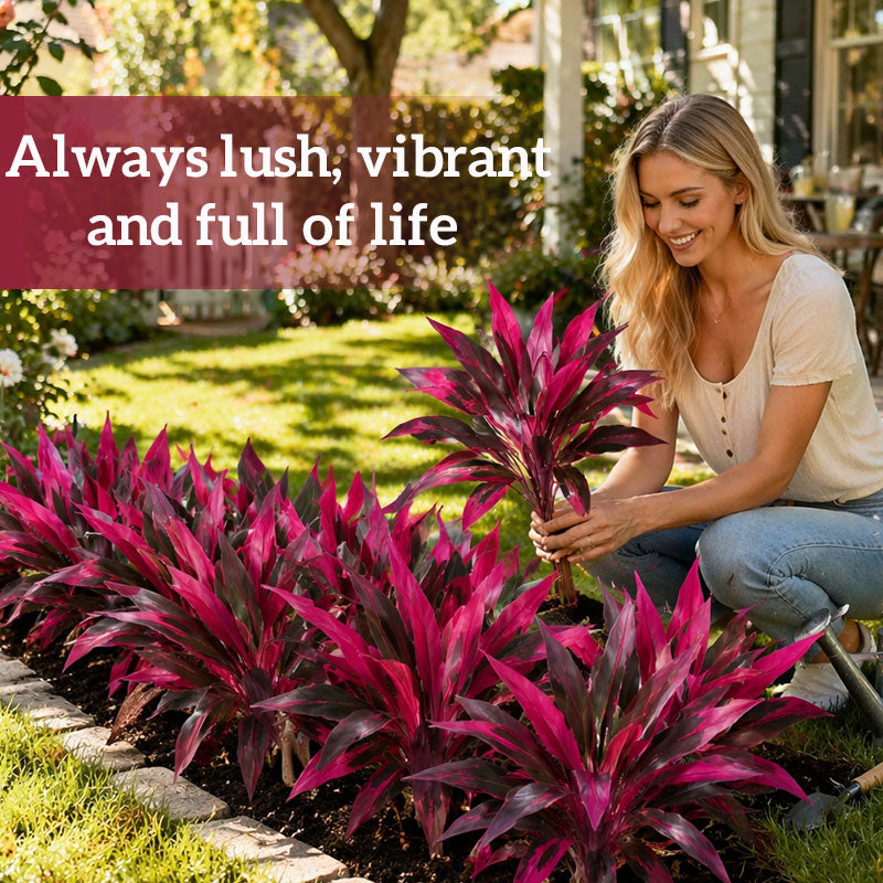 🔥HOT SALE!  - 🏡🌿Artificial Red Cordyline Ti Plant – No-Fuss Year-Round Vibrant Foliage!