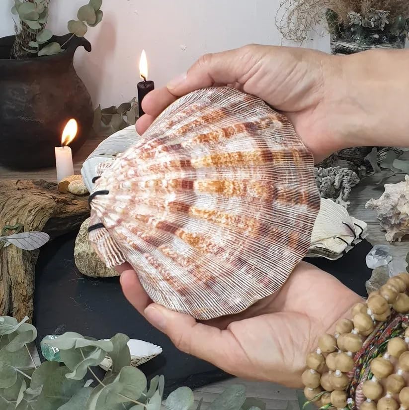 🌊🐚Unique handcrafted shell notebook