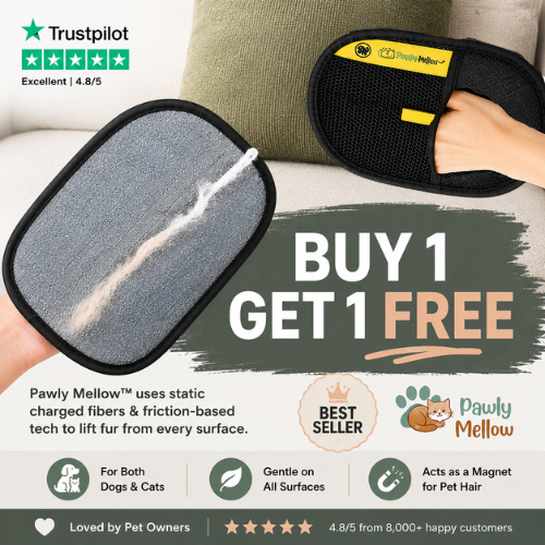 Pet Hair Remover Glove